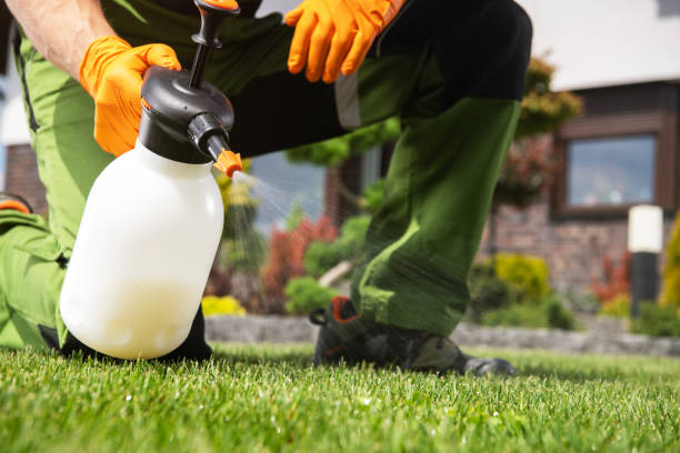 Pest Prevention Services in Lely, FL