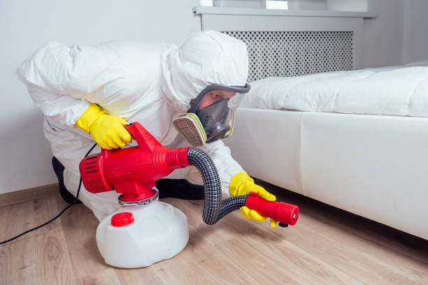 Best Affordable Pest Control Services  in Lely, FL