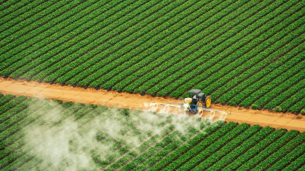 Best Best Pest Control Companies  in Lely, FL