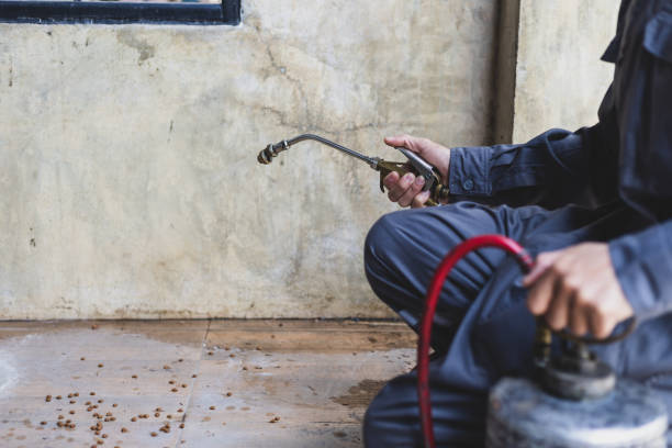 Best Affordable Pest Control Services  in Lely, FL